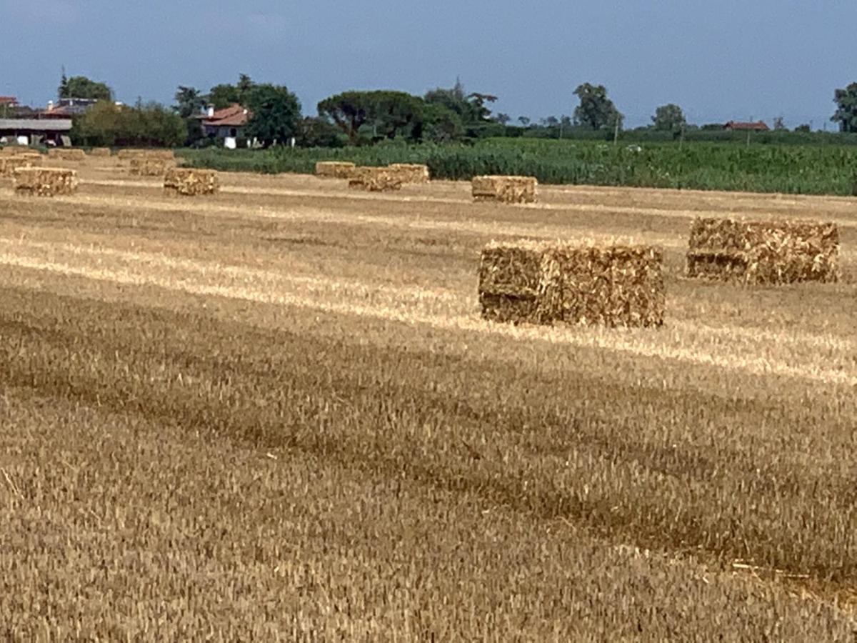 Agriturismo Ca' Alleata
