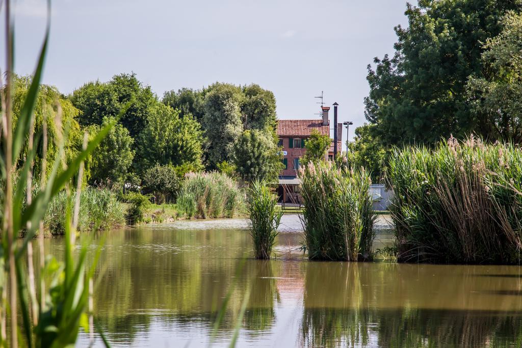 Agriturismo Ca' Alleata Farm stay