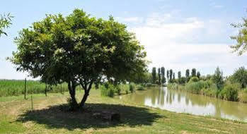 Agriturismo Ca' Alleata Farm stay