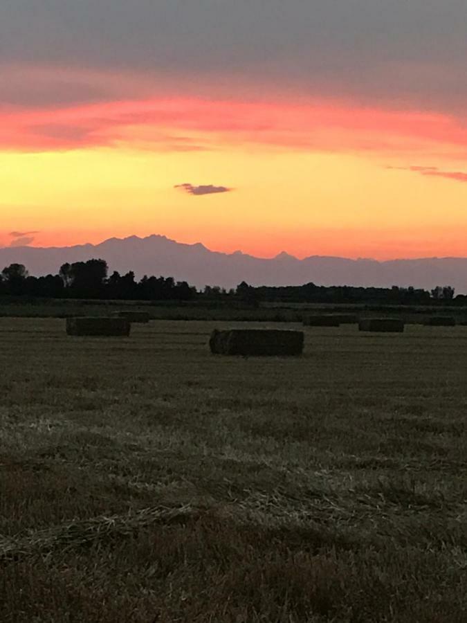 Agriturismo Ca' Alleata *