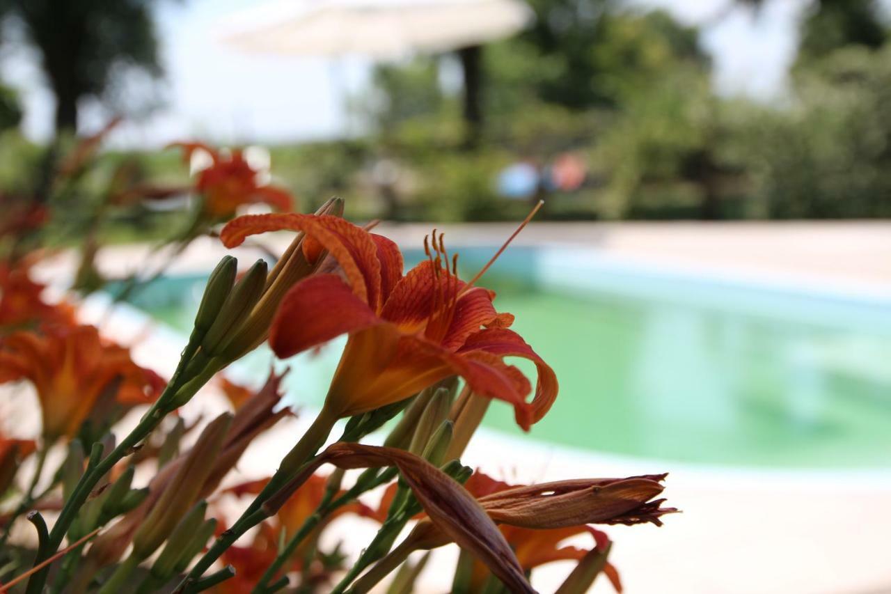 Agriturismo Ca' Alleata * Caorle