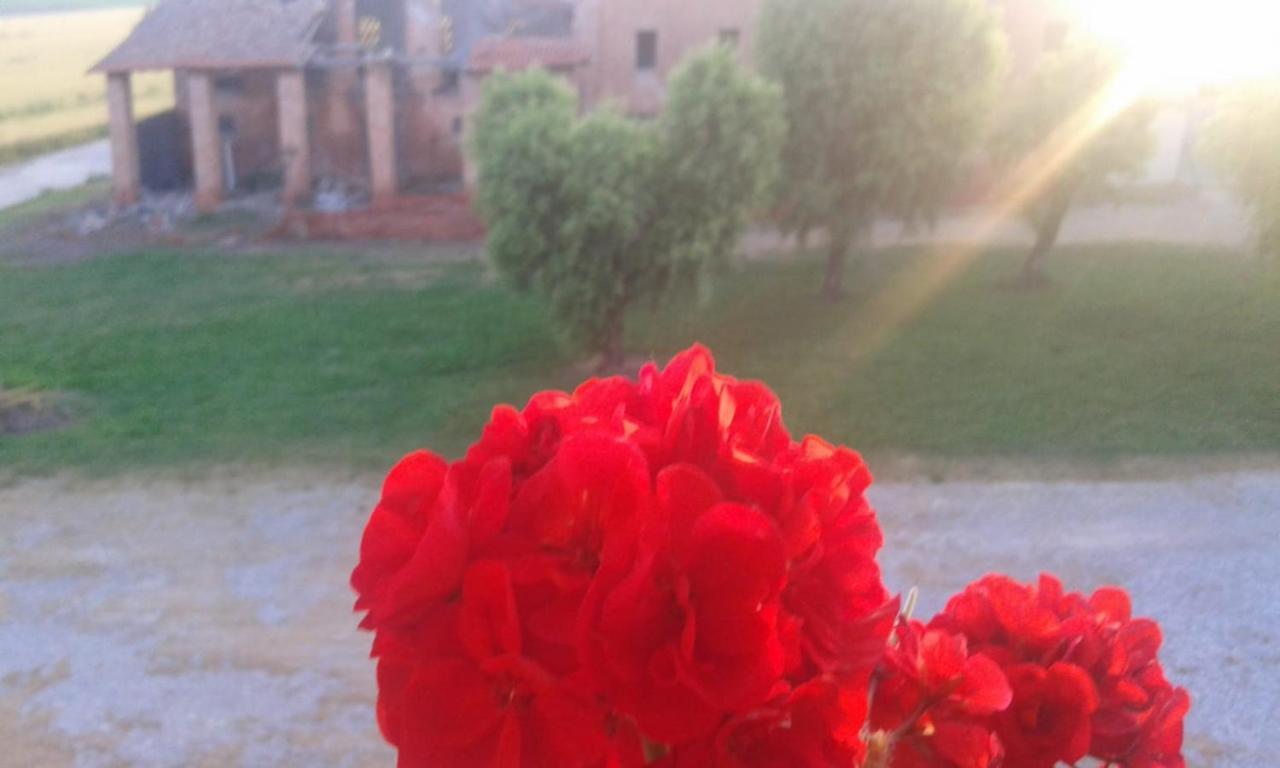 Agriturismo Ca' Alleata Farm stay Caorle