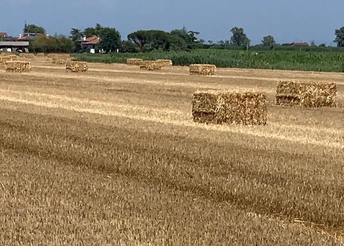 Agriturismo Ca\' Alleata
