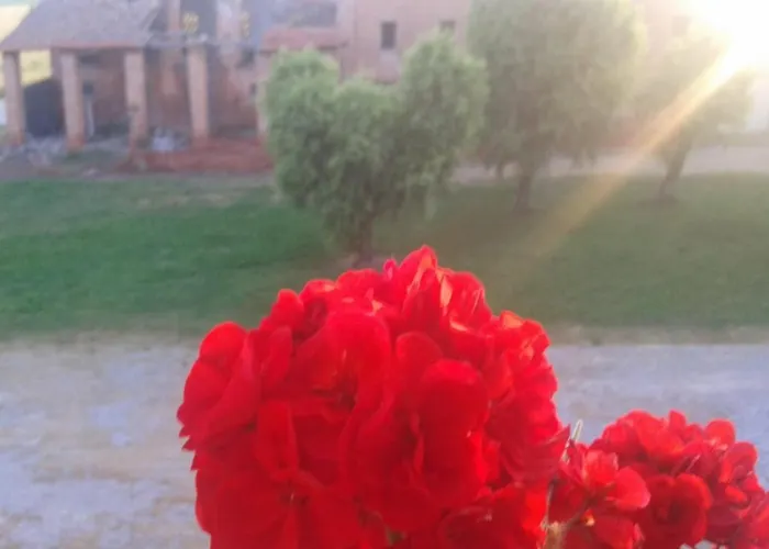 Agriturismo Ca\' Alleata